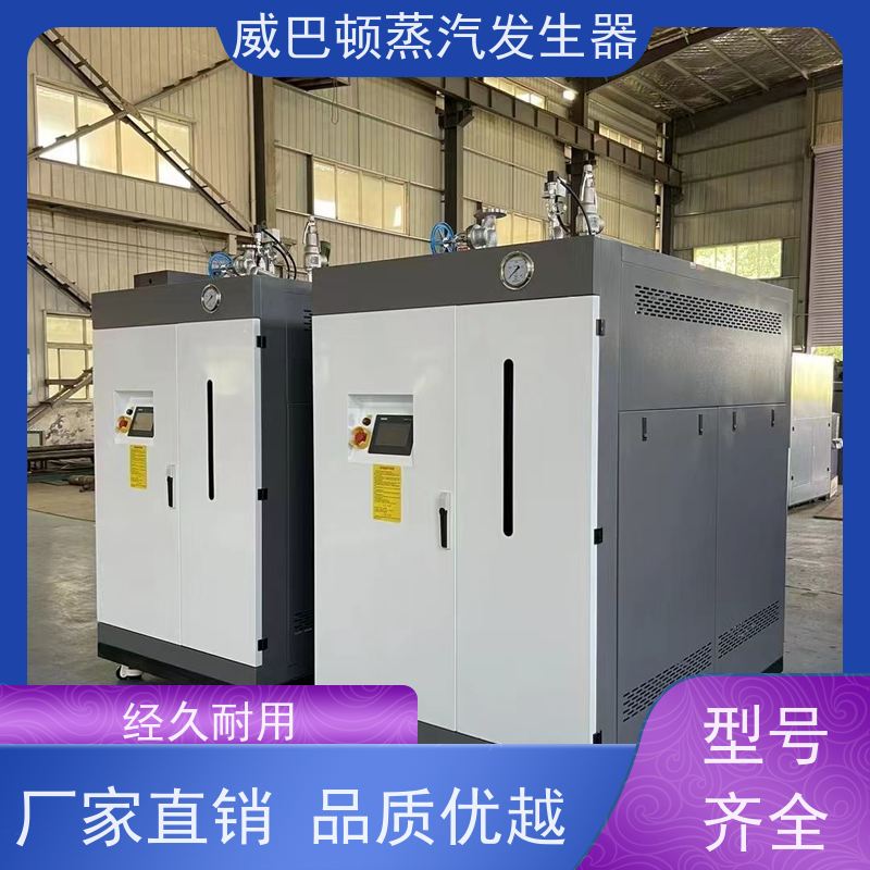  烘干熨烫 立式蒸汽发生器 水容积≤30L，合规又省心 智能控温