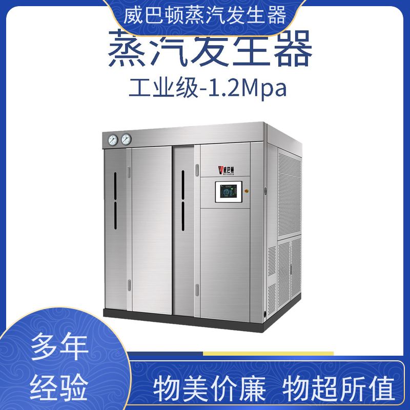  新型国标 工业蒸汽发生器 热效率 101% 还省气 混凝土养护