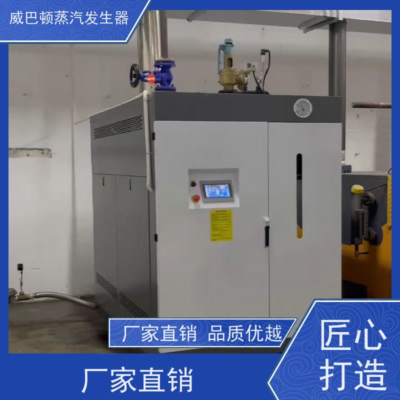  灭菌消毒 立式蒸汽锅炉 多台并联省气稳供 高温高压