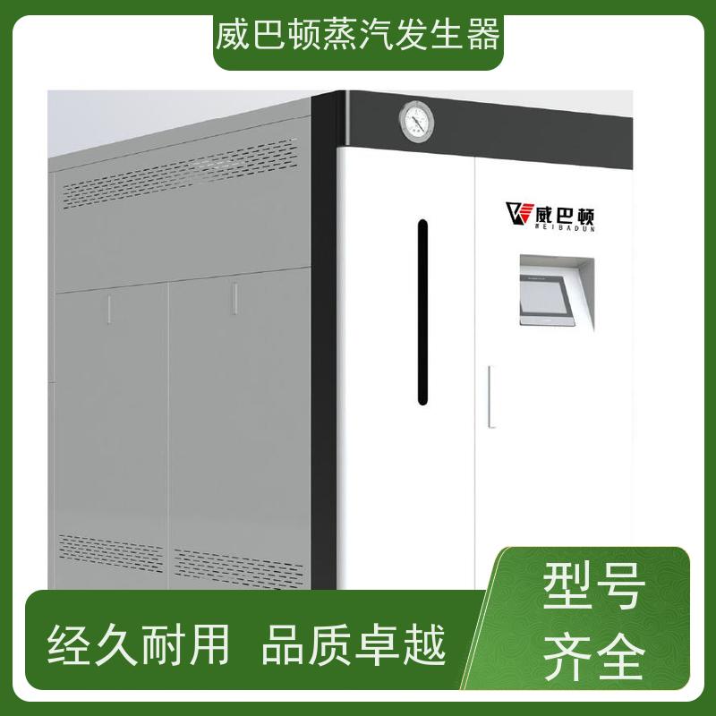  灭菌消毒 贯流蒸汽发生器 多台并联省气稳供 混凝土养护