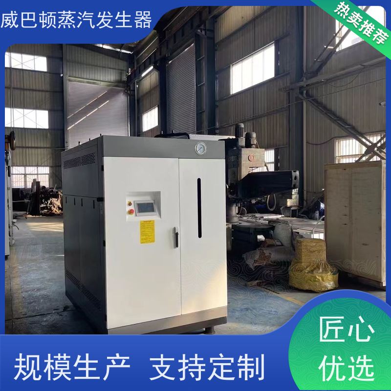  灭菌消毒 2吨蒸汽发生器 多台并联省气稳供 智能控温