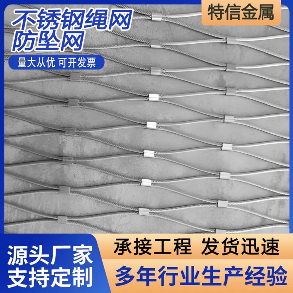 特信丝网 支持定制 发货迅速 吊桥防护网 防坠落用 201