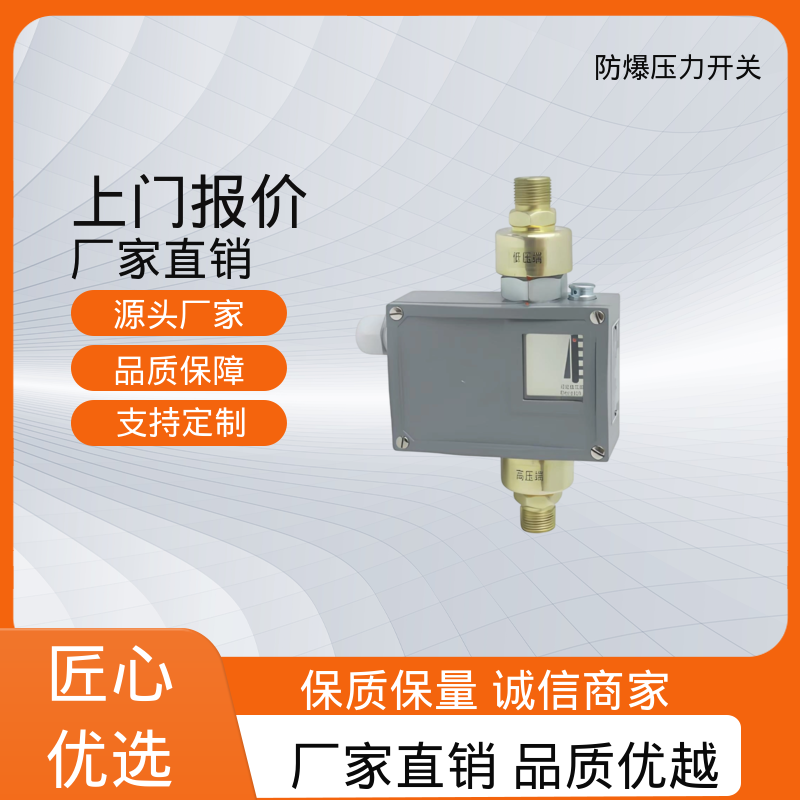 润俊 可定制 压力开关控制器 IP65 螺纹连接 货源充足 现货保质