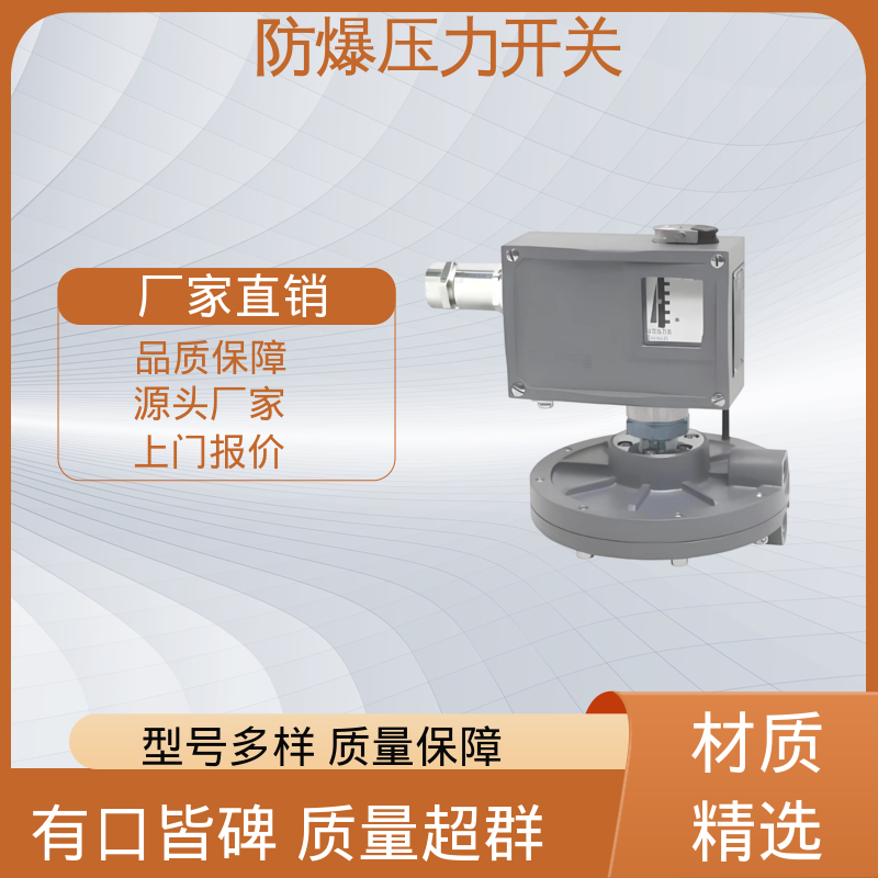 润俊 可定制 压力开关控制器 IP65 螺纹连接 货源充足 现货保质