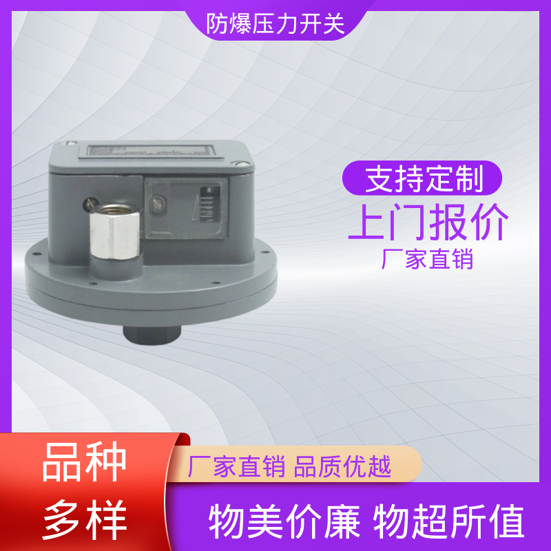 润俊 可定制 压力开关控制器 IP65 螺纹连接 货源充足 现货保质