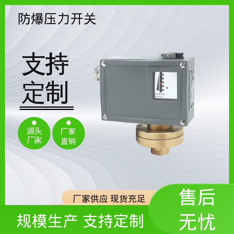 润俊 可定制 压力开关控制器 IP65 螺纹连接 货源充足 现货保质