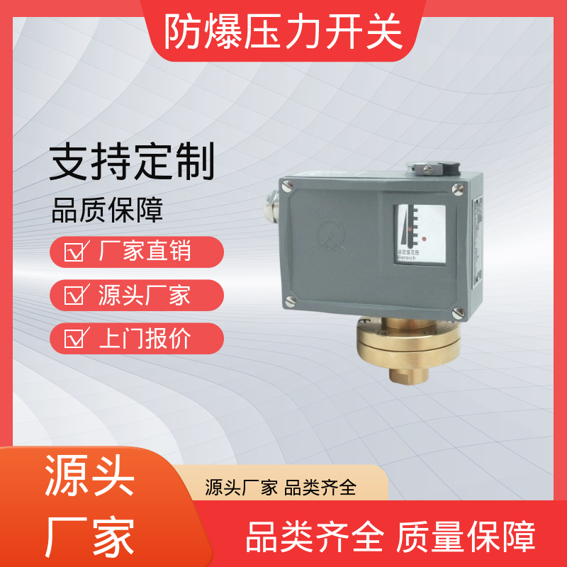 润俊 可定制 压力开关控制器 IP65 螺纹连接 货源充足 现货保质