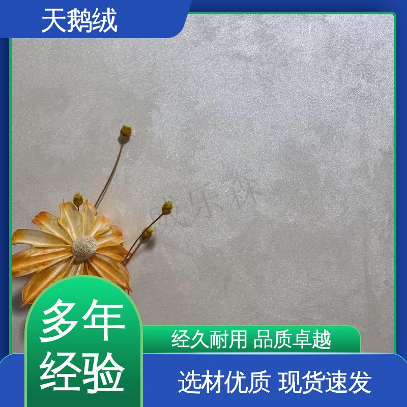 威乐森 艺术漆的品牌 7天 完全固化 白色 规格齐全 诚信经营