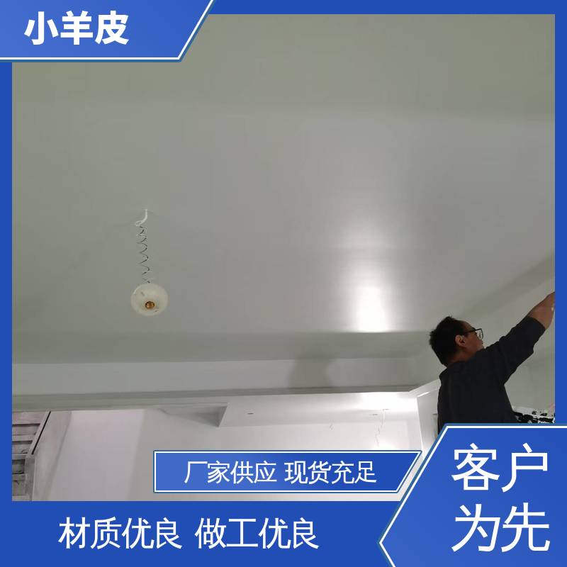 威乐森 橘皮纹艺术漆 稀释比例≤5%体积清水 规模生产 支持定制