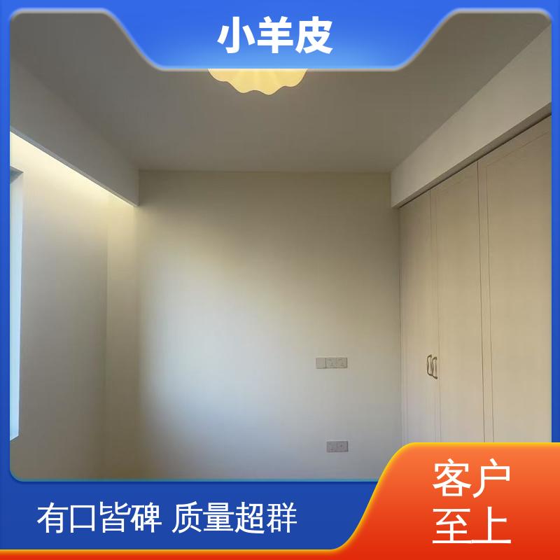 威乐森 艺术涂料小羊皮 重涂间隔 ≥2小时 规模生产 支持定制