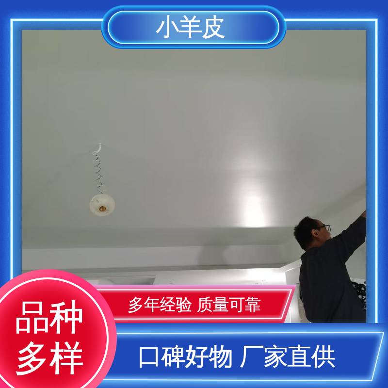 威乐森 艺术涂料小羊皮 耐水性48小时无异常 规模生产 支持定制