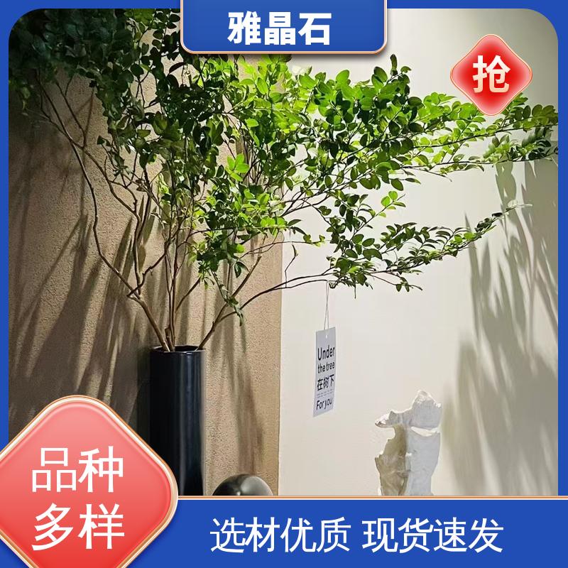 规模生产 支持定制 实干 ≤48小时 806AX 质感漆 威乐森