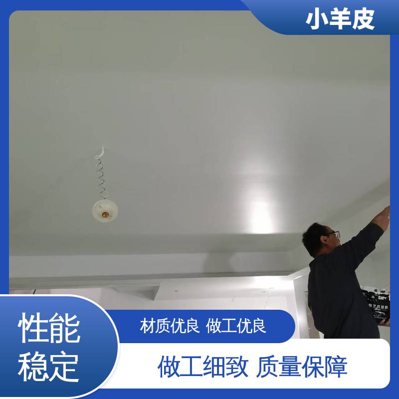 威乐森 小羊皮涂料 稀释比例≤5%体积清水 规格齐全 诚信经营