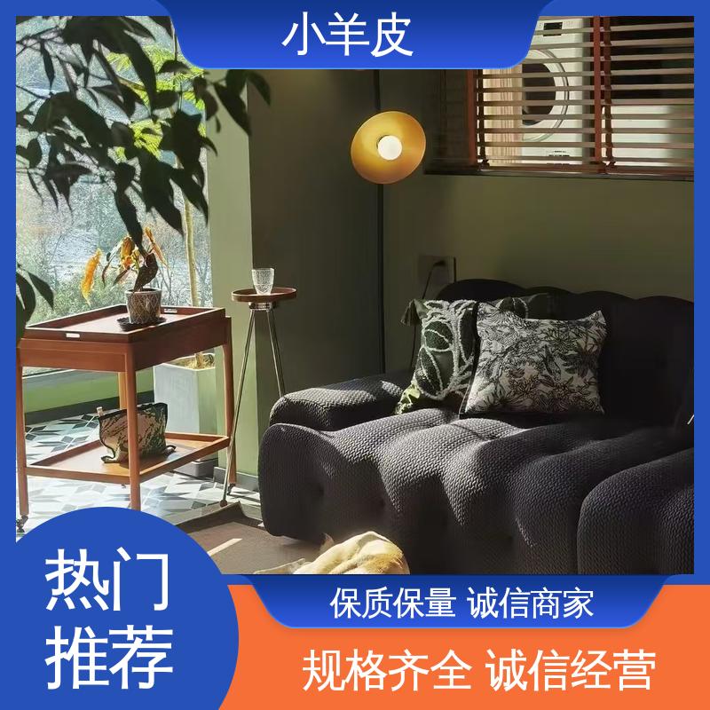 威乐森 艺术漆蛋壳光 稀释比例≤5%体积清水 开拓创新 品质致胜