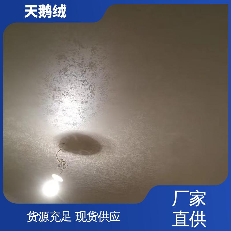 威乐森 艺术漆的品牌 7天 完全固化 白色 实力厂家 品质优越
