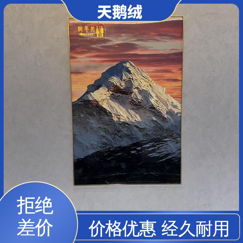 威乐森 艺术涂料天鹅绒 7天 完全固化 白色 规模生产 支持定制