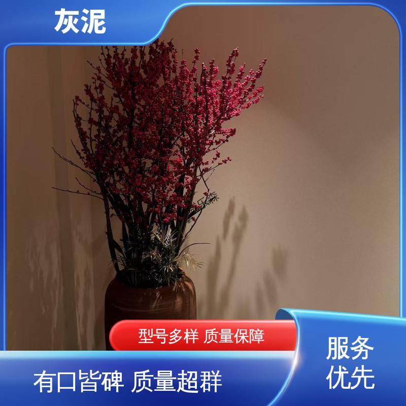 源头厂家 品类齐全 石膏灰泥 7天完全固化（25℃） DW-A1型 威乐森