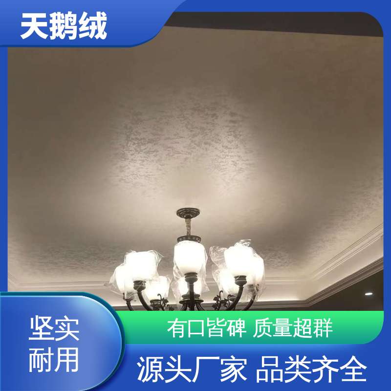 威乐森 天鹅绒漆 7天 完全固化 白色 实力厂家 品质优越