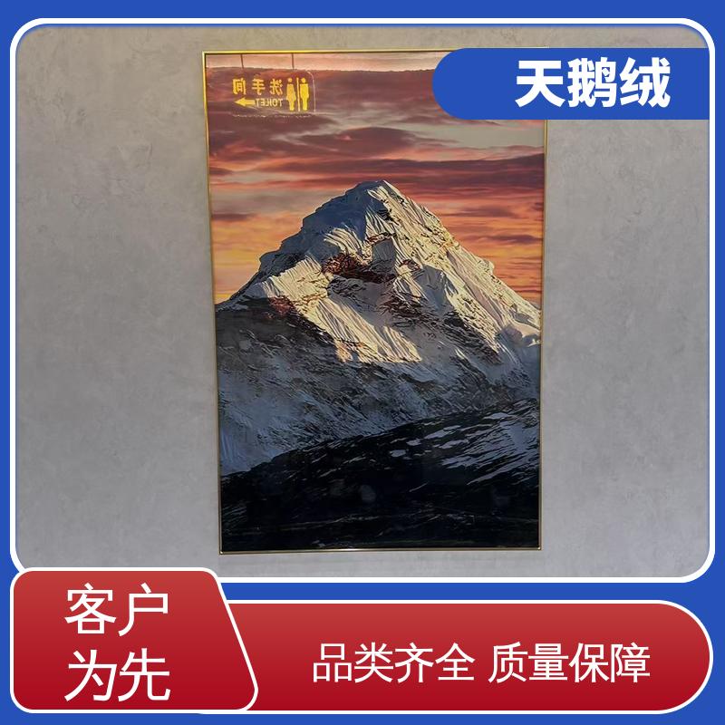威乐森 天鹅绒漆 完全固化周期 7天 货源充足 现货保质