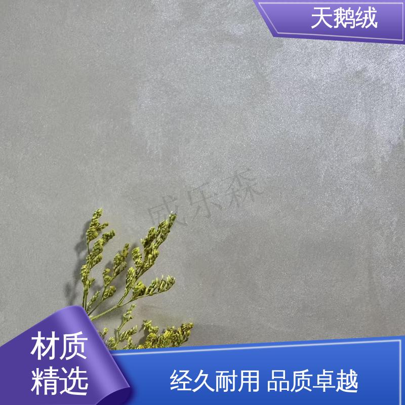 威乐森 艺术漆天鹅绒 7天 完全固化 白色 货源充足 现货保质