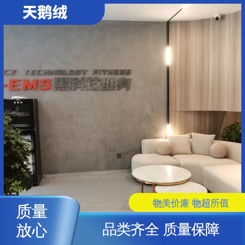 威乐森 灰色天鹅绒艺术漆 表干时间 60分钟 实力厂家 品质优越