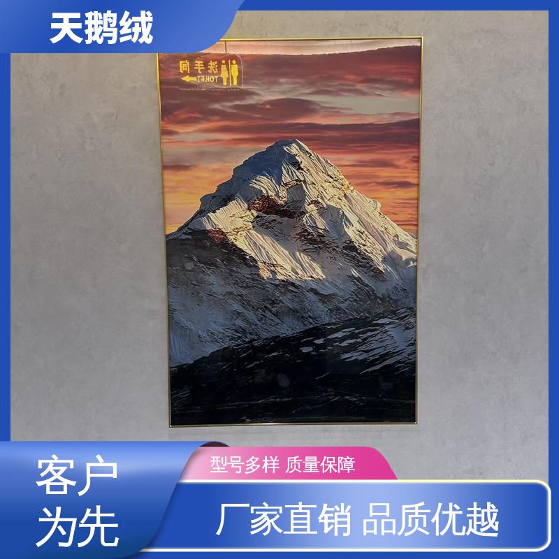 威乐森 渐变天鹅绒艺术漆 表干时间 60分钟 开拓创新 品质致胜