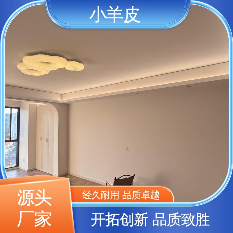 威乐森 小羊皮艺术涂料 重涂间隔 ≥2小时 规格齐全 诚信经营