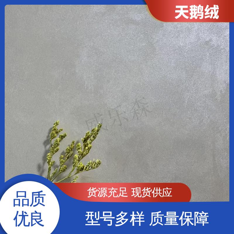 威乐森 内墙艺术漆 完全固化周期 7天 规模生产 支持定制