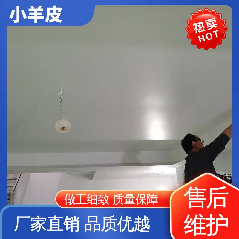 威乐森 小羊皮艺术涂料 养护周期 7天 SC-3500 规格齐全 诚信经营
