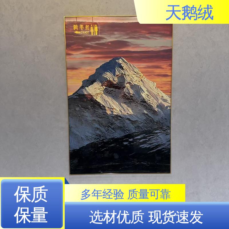 威乐森 天鹅绒 施工温度 5-35℃ 厂家供应 现货充足