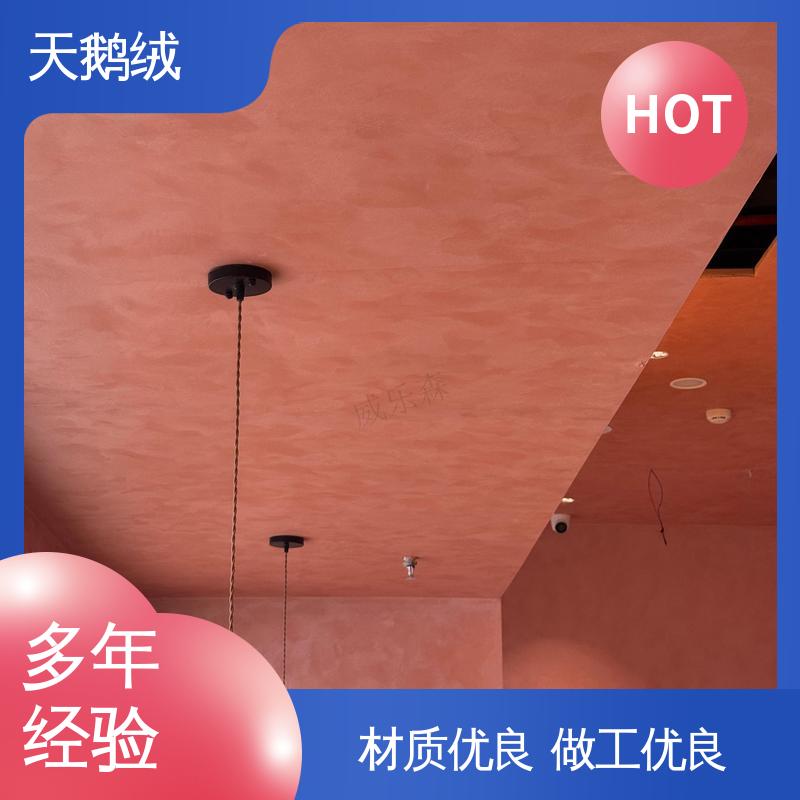 威乐森 珠光幻彩 重涂间隔 2-4小时 开拓创新 品质致胜