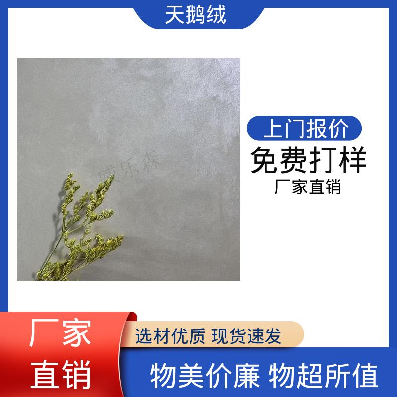威乐森 外墙艺术漆 7天 完全固化 白色 开拓创新 品质致胜