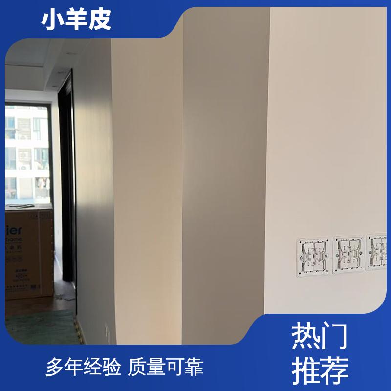 威乐森 艺术漆小羊皮 耐水性48小时无异常 规格齐全 诚信经营