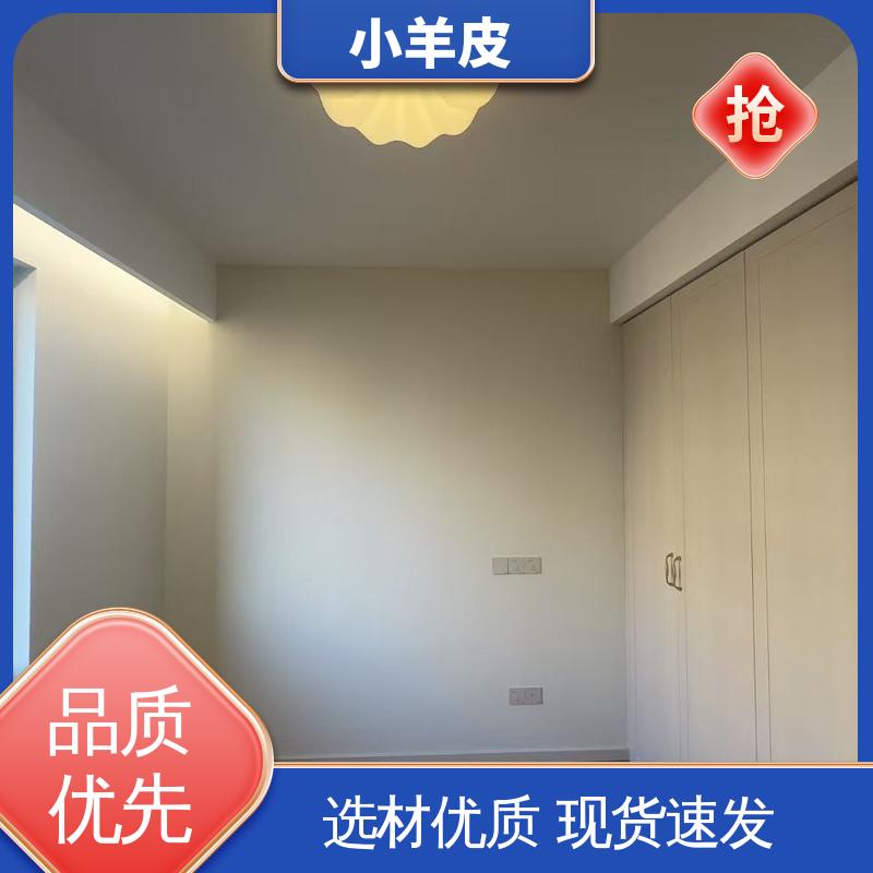 威乐森 肤感小羊皮艺术漆 稀释比例≤5%体积清水 规格齐全 诚信经营
