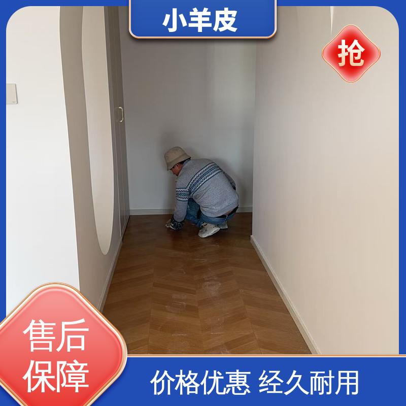 威乐森 小羊皮肌理漆 施工温度 5-35℃ 规模生产 支持定制