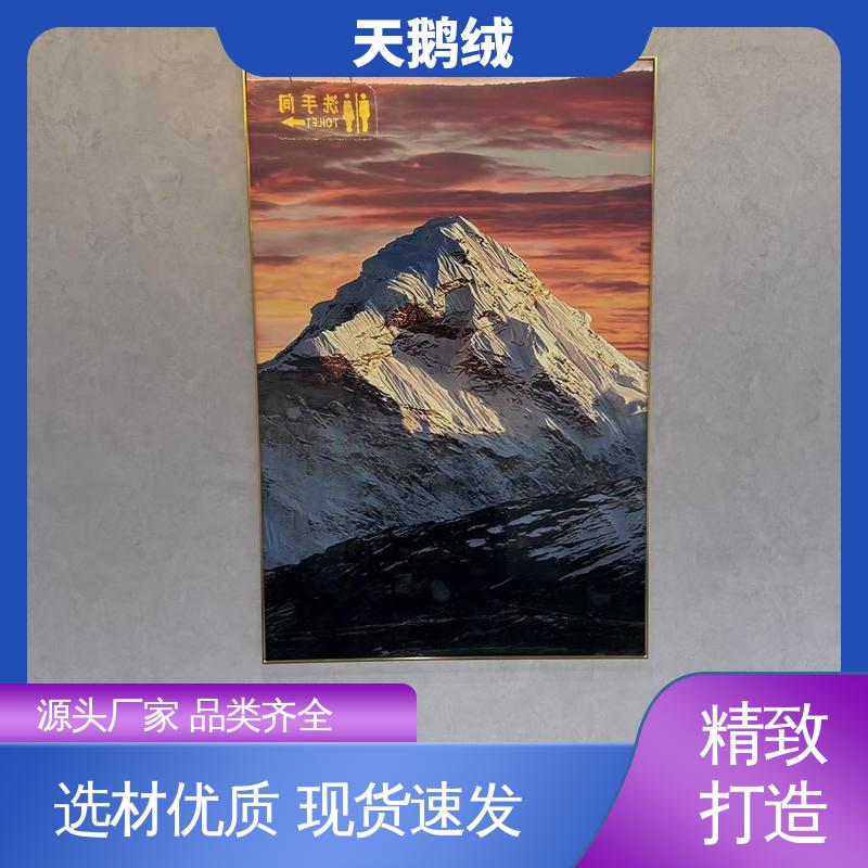 威乐森 艺术漆的品牌 表干时间 60分钟 源头厂家 品类齐全