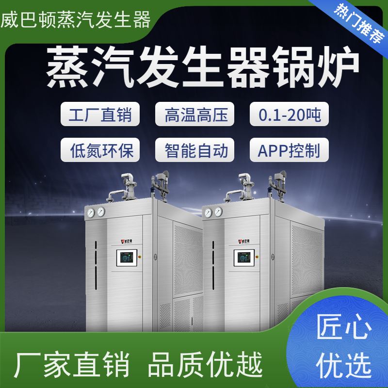  新型国标 液化气热水锅炉 多台并联省气稳供 造纸厂