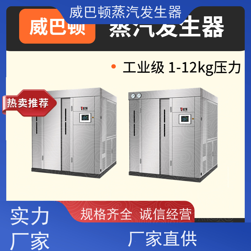  灭菌消毒 5吨燃气锅炉 水容积≤30L，合规又省心 巴氏消毒