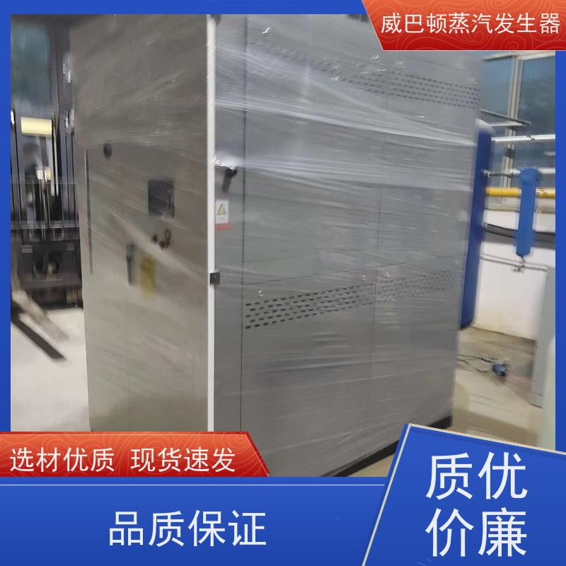  烘干熨烫 10T蒸汽发生器 多台并联省气稳供 制药厂