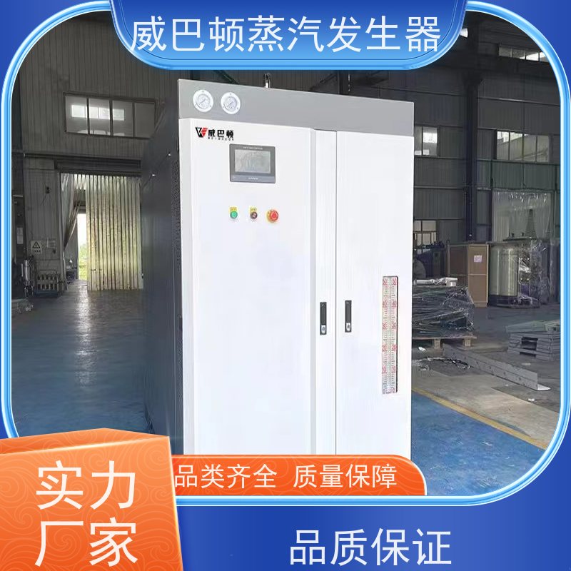  免特检 6T蒸汽发生器 热效率 101% 还省气 食品厂
