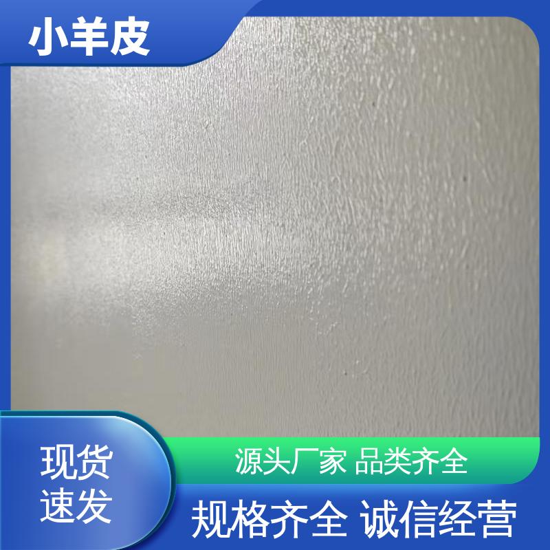 威乐森 小羊皮漆 表干时间 60分钟 规格齐全 诚信经营