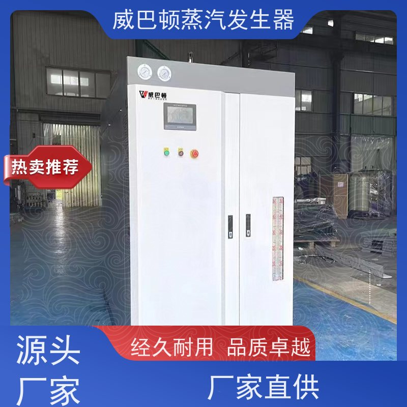  灭菌消毒 工业蒸汽发生器 热效率 101% 还省气 豆腐腐竹加工厂