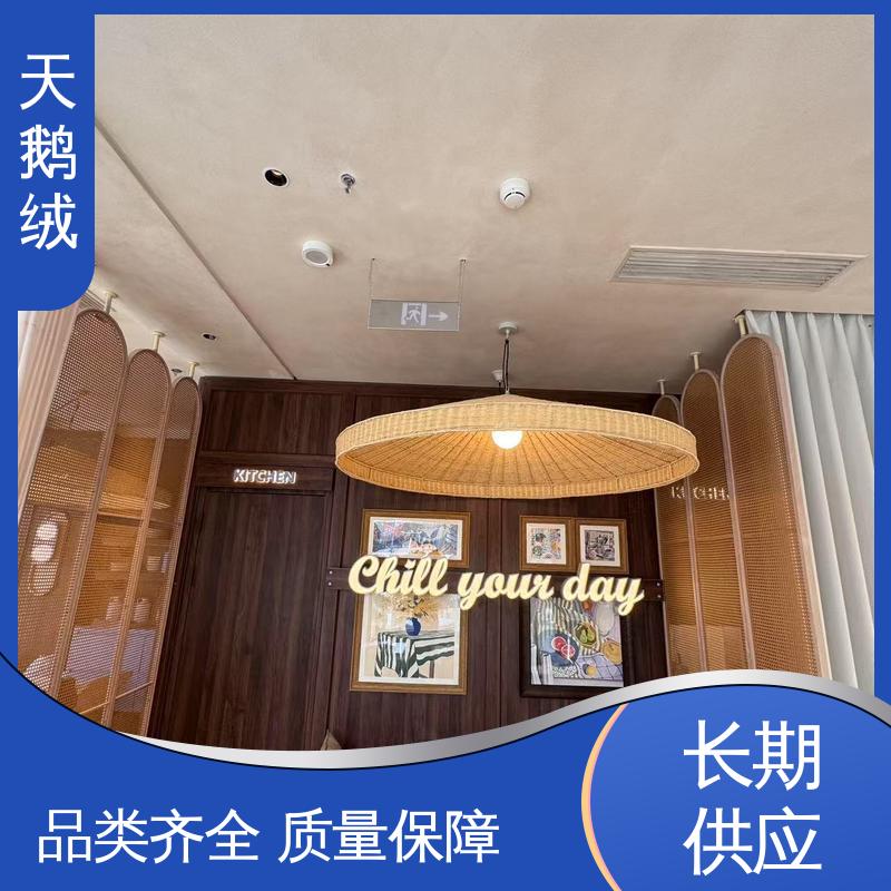 威乐森 内墙艺术漆 7天 完全固化 白色 实力厂家 品质优越