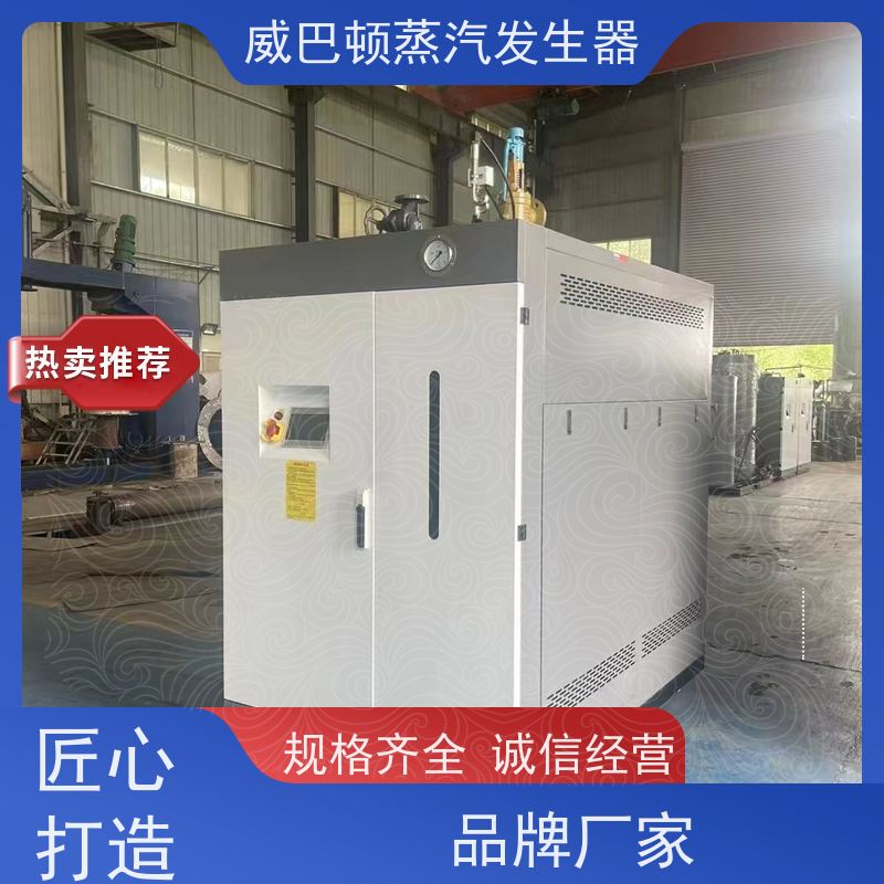  节能环保 燃气蒸汽发生器 热效率 101% 还省气 泡沫厂