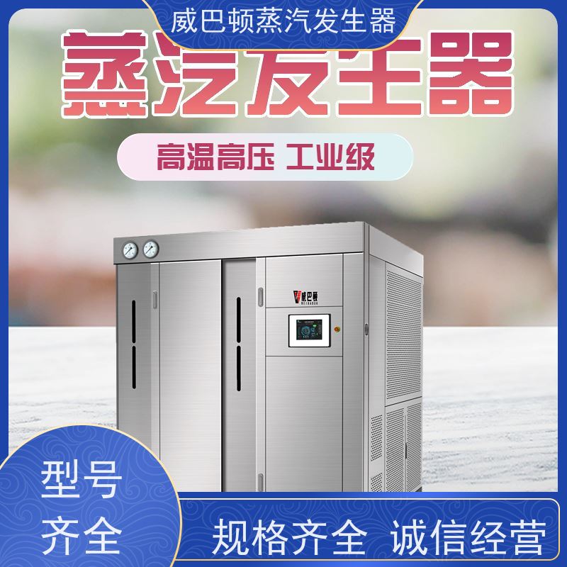  食品级 立式蒸汽发生器 多台并联省气稳供 泡沫厂