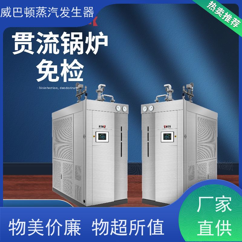  灭菌消毒 六吨蒸汽锅炉 体积小一半全 智能控温