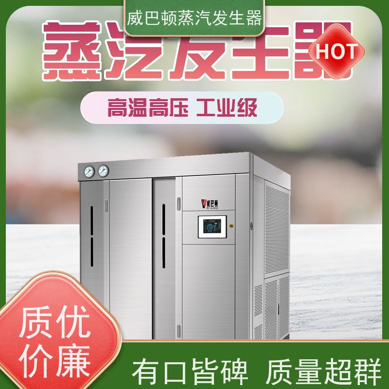  灭菌消毒 6T蒸汽发生器 多台并联省气稳供 混凝土养护