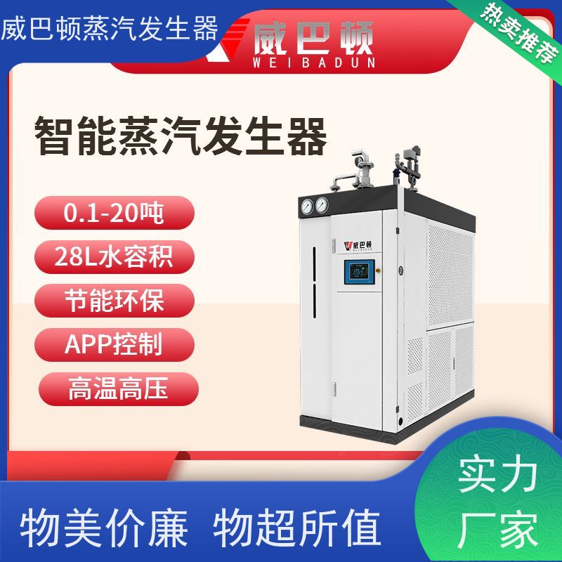  新型国标 贯流蒸汽锅炉 热效率 101% 还省气 反应釜