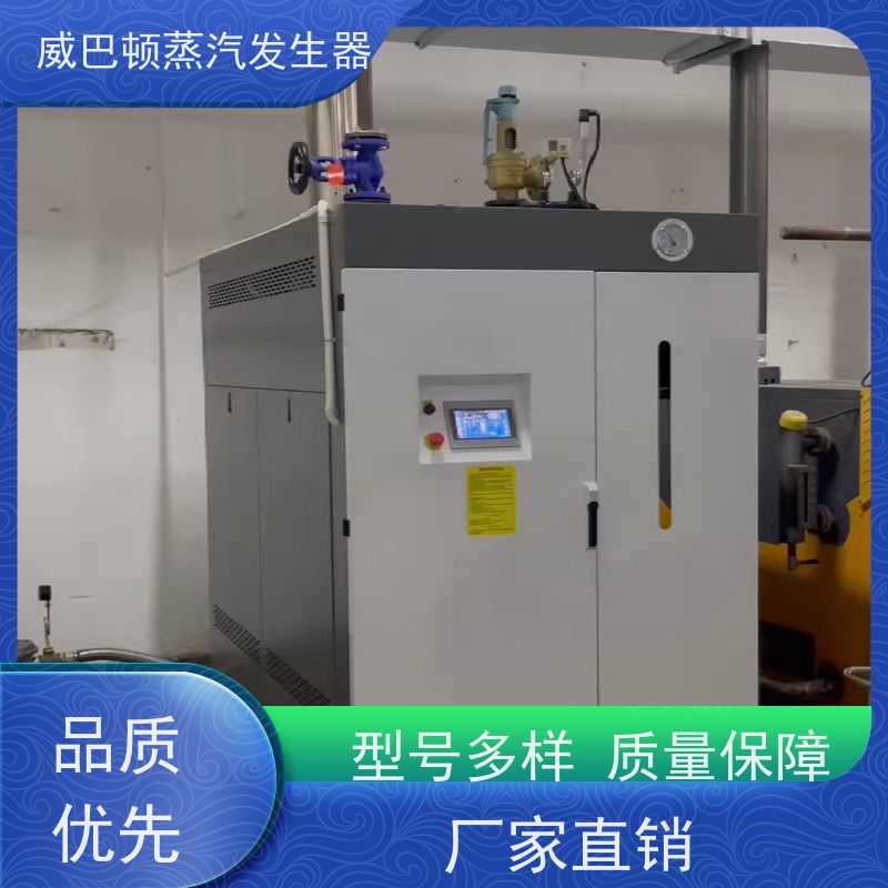  食品级 液化气蒸汽发生器 体积小一半全 印染厂