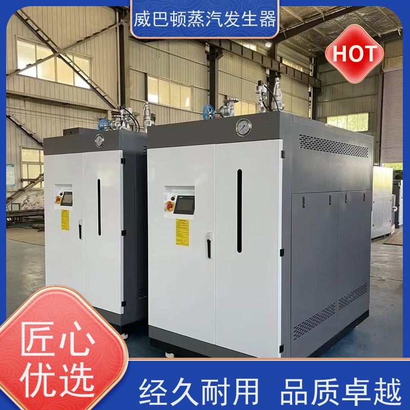  免特检 工业蒸汽发生器 水容积≤30L，合规又省心 混凝土养护